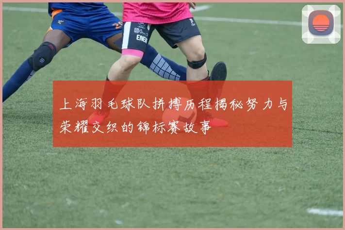 上海羽毛球队拼搏历程揭秘努力与荣耀交织的锦标赛故事