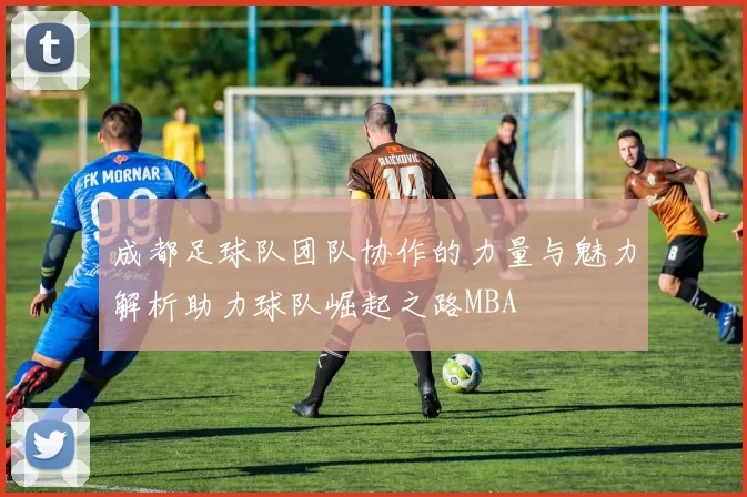 成都足球队团队协作的力量与魅力解析助力球队崛起之路MBA