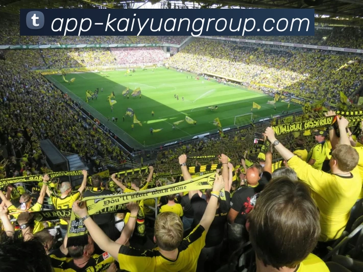 App Interface Preview