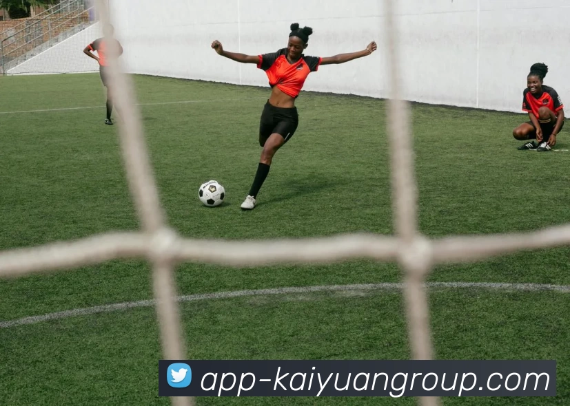 多媒体互动体验